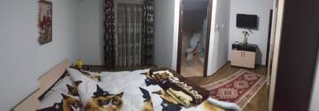 Фото номера Двухместный номер с 1 кроватью и собственной ванной комнатой Фермерские дома Agropensiunea GIURCA г. Bădoşi 12